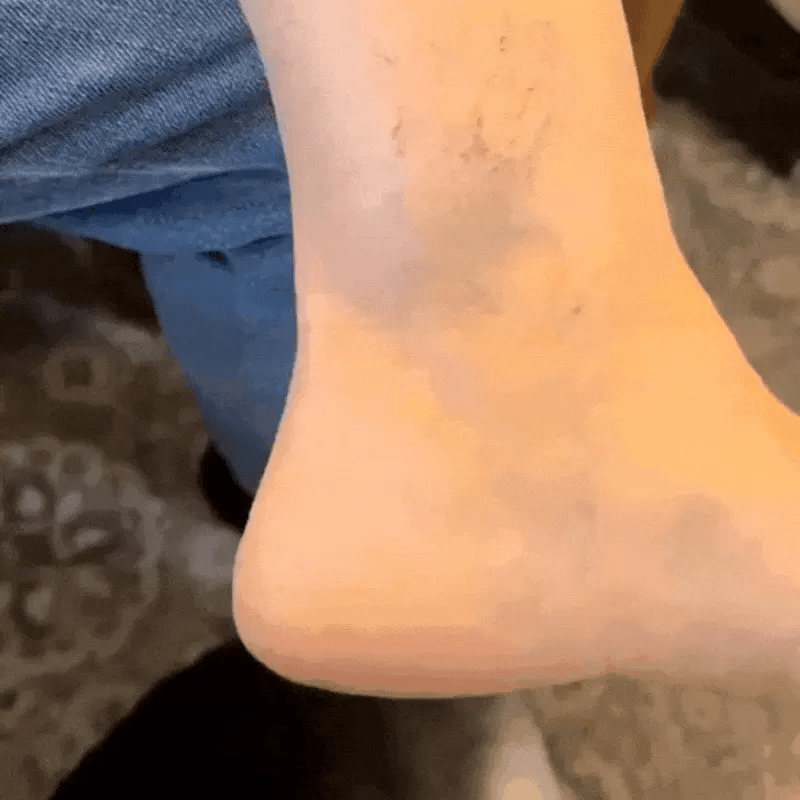 Σετ Πινέλων Daynava για Cream Perfecter